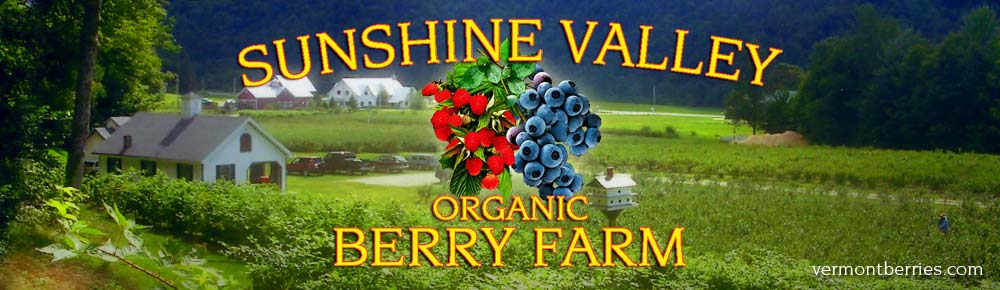Sunshine Valley Organic Berry Farm